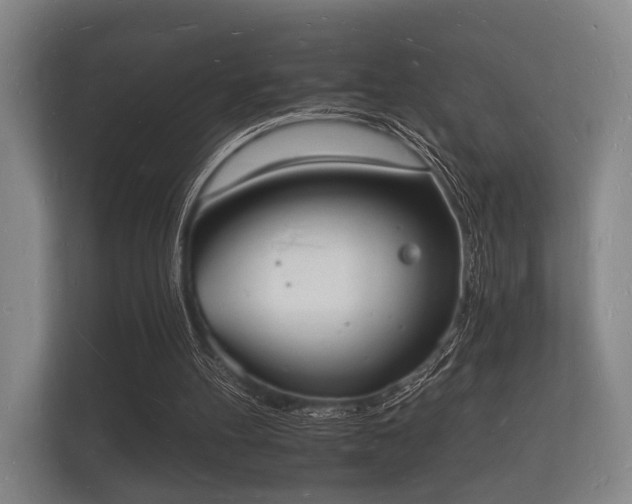 X0000112140100200908141202