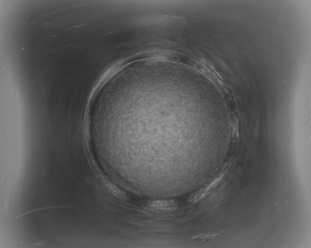 X0000112140101200908141202