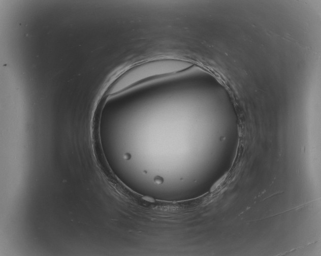 X0000112140104200908141202