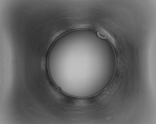 X0000112140107200908141202