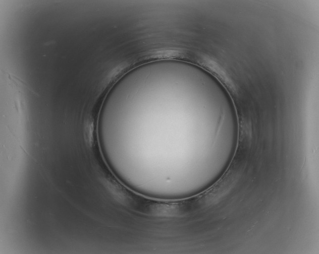 X0000112140110200908141202