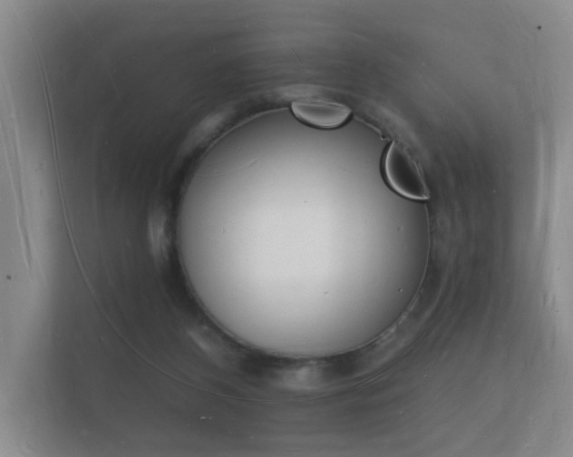 X0000112140116200908141202