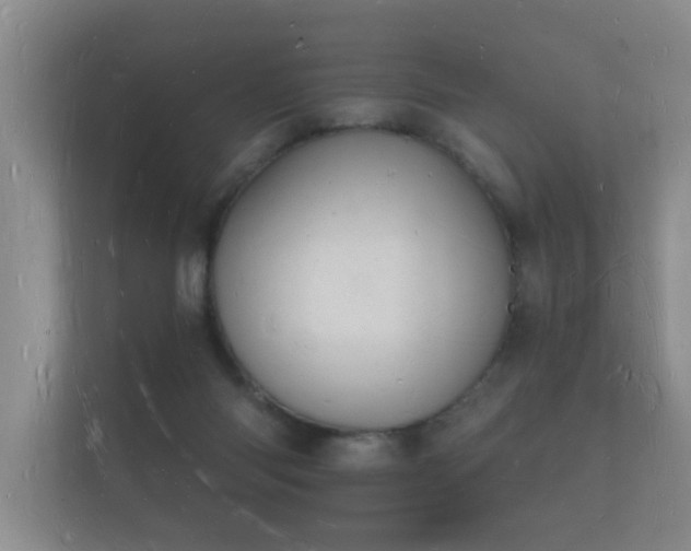 X0000112140118200908141202