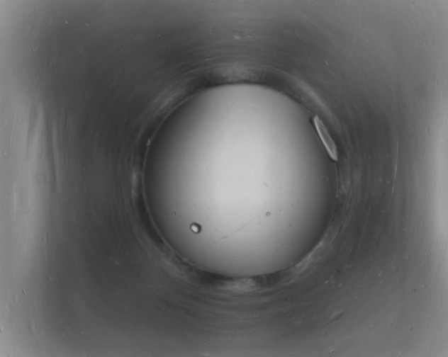 X0000112140124200908141202