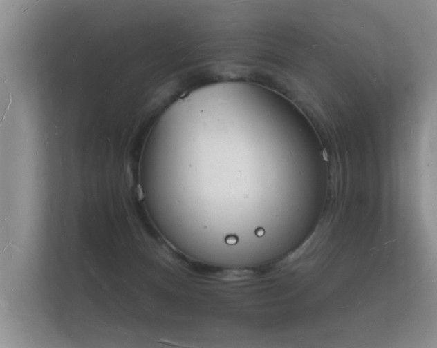 X0000112140128200908141202