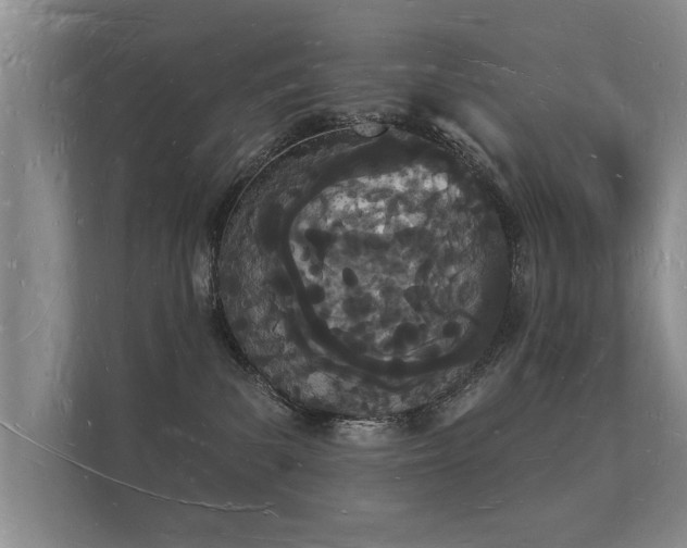 X0000112140139200908141202