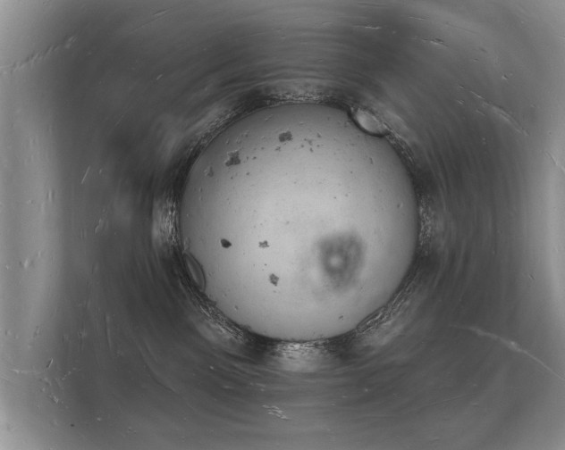 X0000112140141200908141202