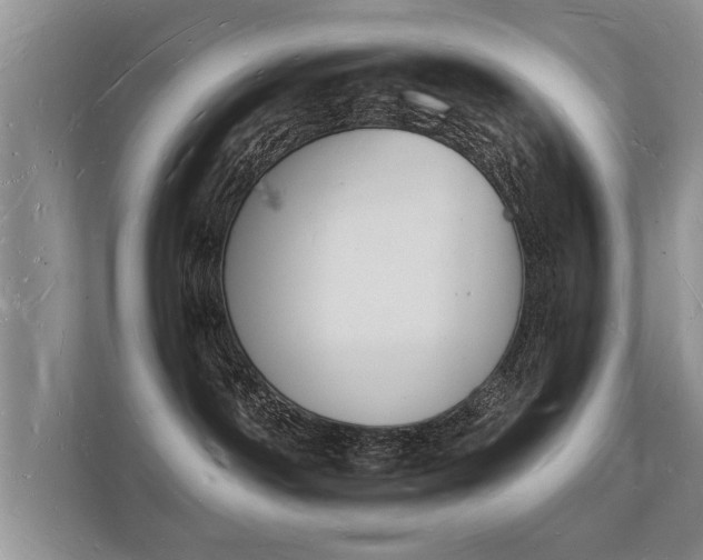 X0000112140142200908141202