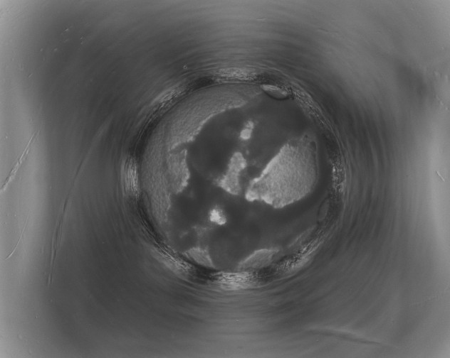 X0000112140143200908141202