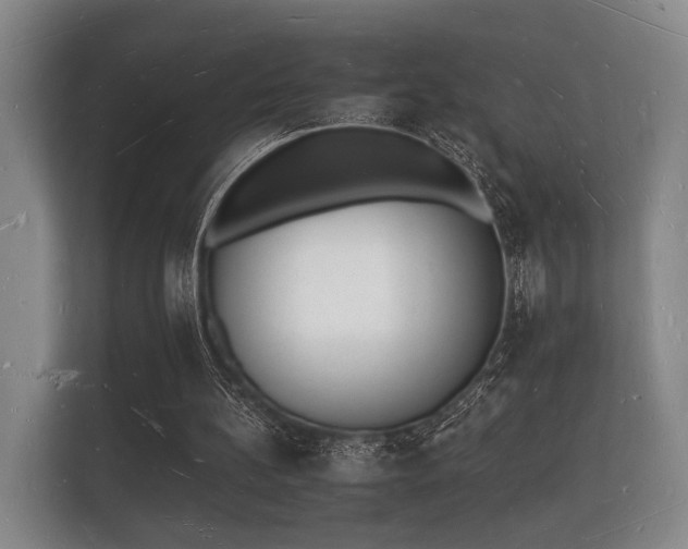 X0000112140148200908141201