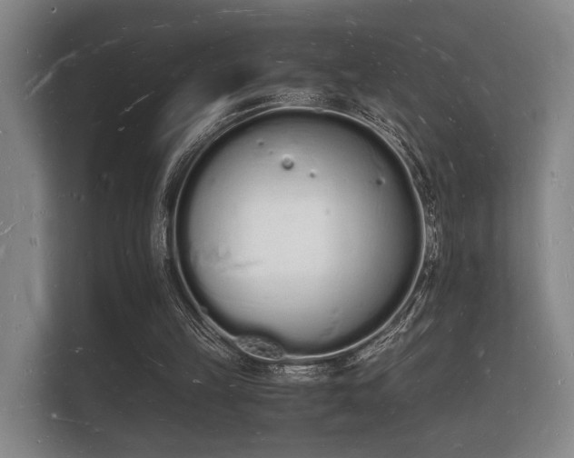 X0000112140149200908141201