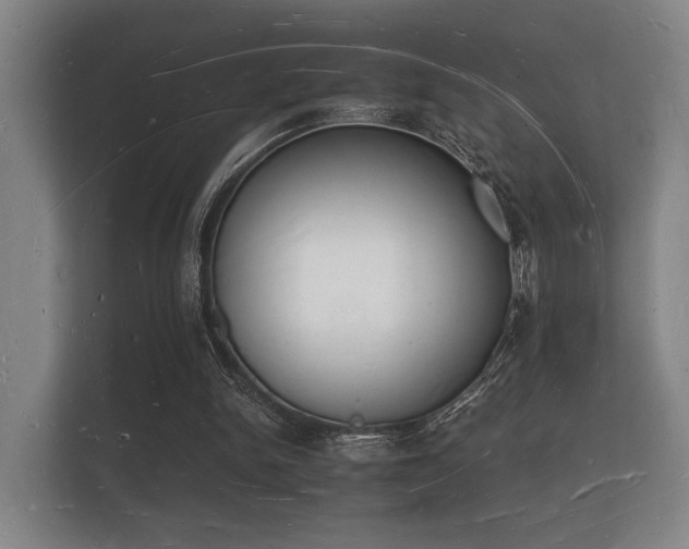 X0000112140150200908141201