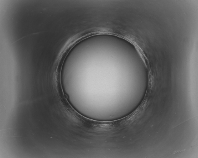 X0000112140151200908141201