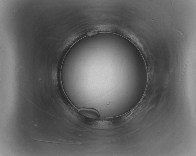 X0000112140154200908141201