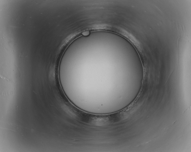 X0000112140155200908141201