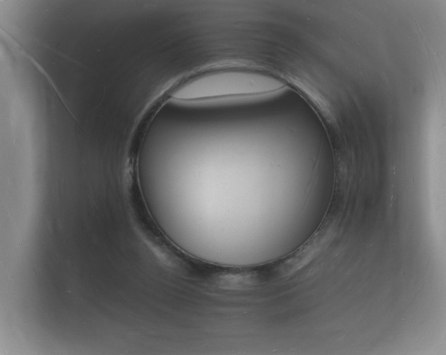 X0000112140160200908141201