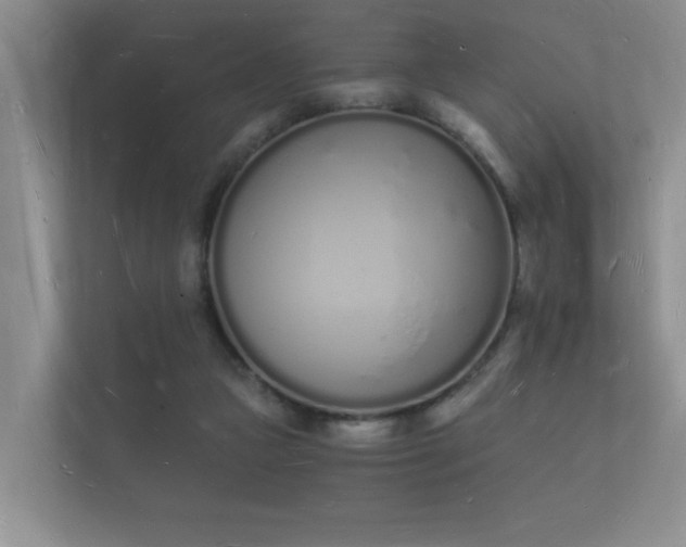 X0000112140161200908141201