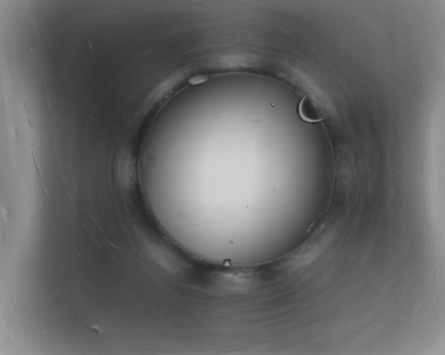 X0000112140164200908141201