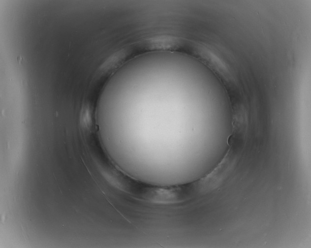 X0000112140166200908141201