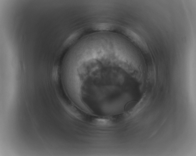 X0000112140167200908141201