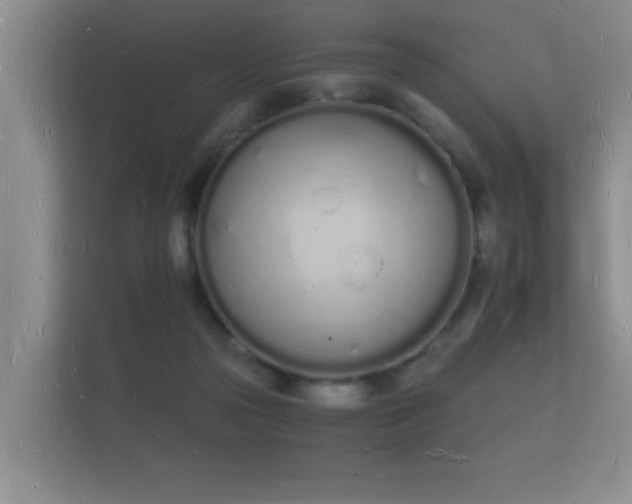 X0000112140169200908141201