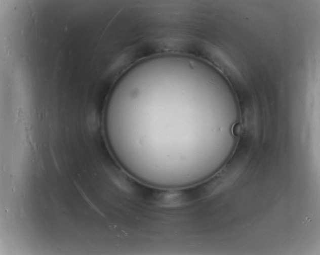 X0000112140173200908141201