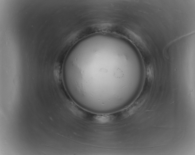 X0000112140181200908141201