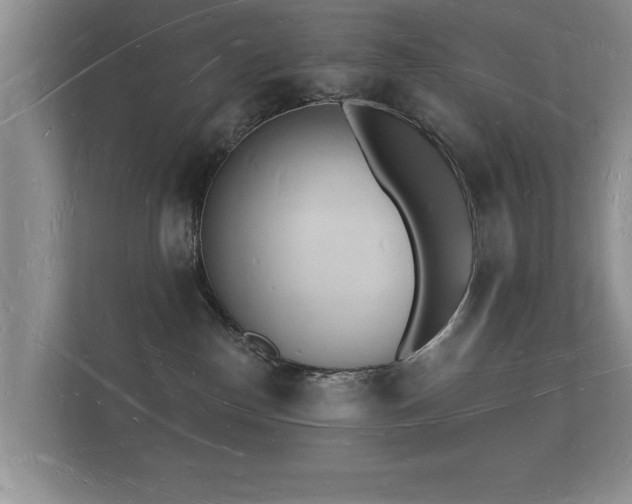 X0000112140186200908141201