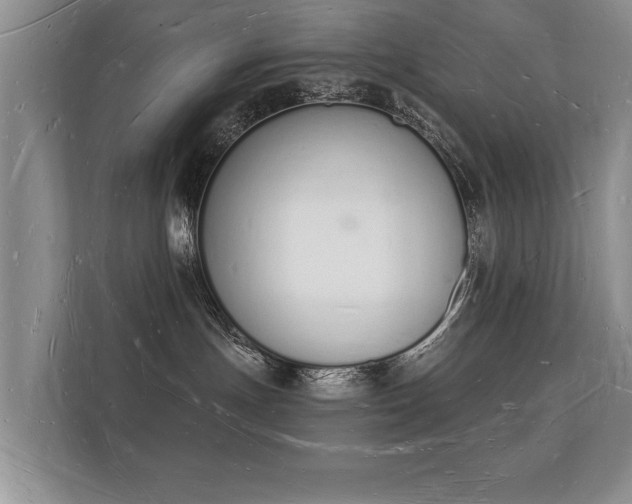 X0000112140191200908141202