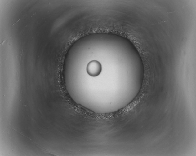 X0000112140192200908141202