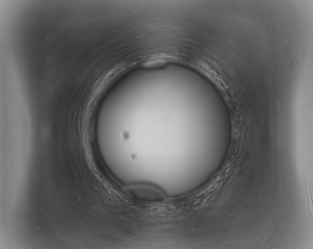 X0000112140193200908141201