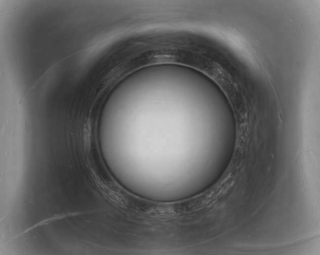 X0000112140194200908141201