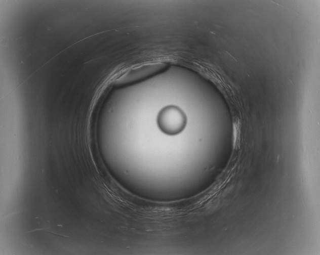 X0000112140195200908141201