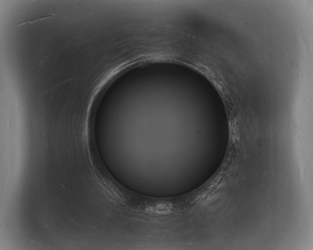 X0000112140196200908141201