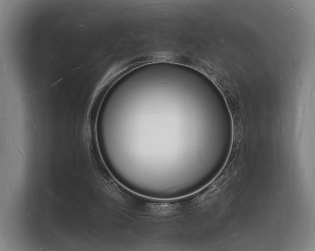 X0000112140198200908141201