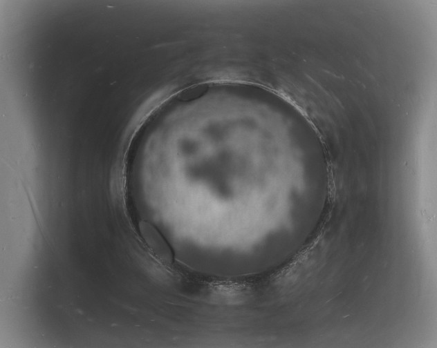 X0000112140199200908141201