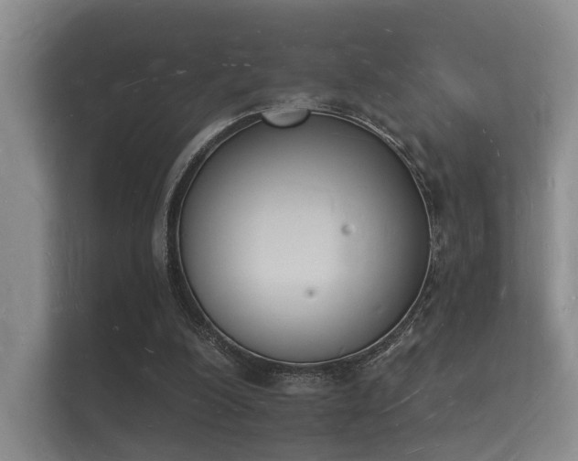 X0000112140200200908141201