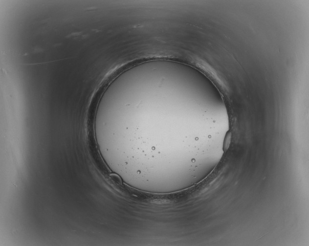 X0000112140203200908141201