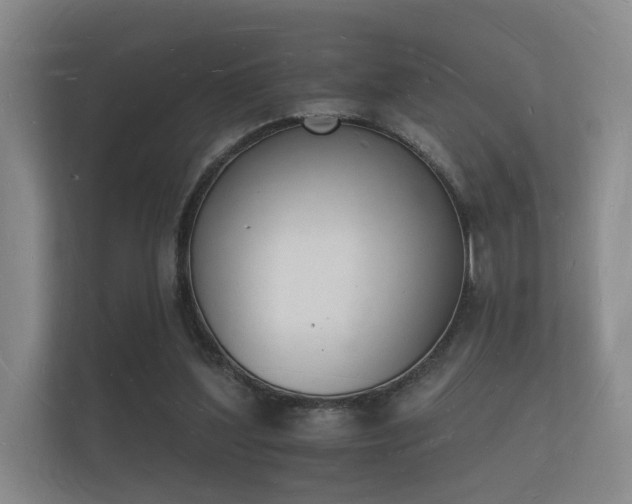 X0000112140204200908141201