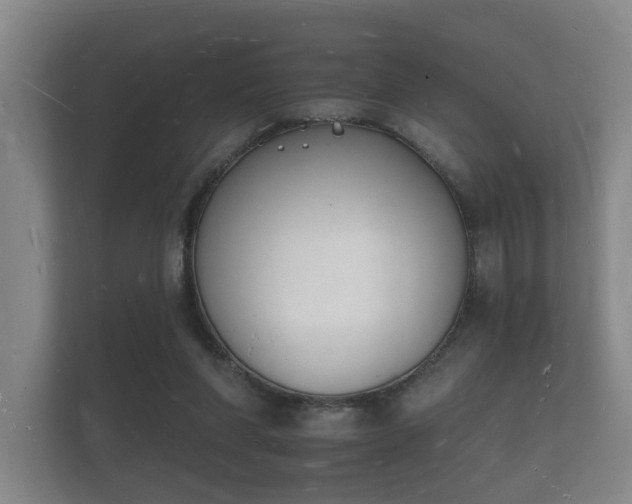 X0000112140206200908141201