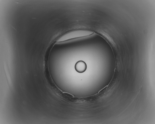 X0000112140207200908141201