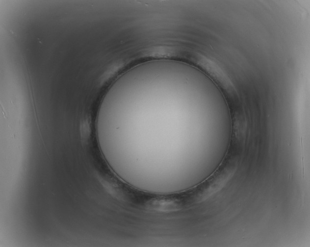 X0000112140208200908141201