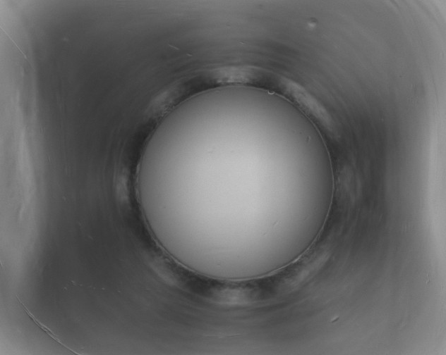 X0000112140209200908141201