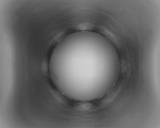 X0000112140210200908141201