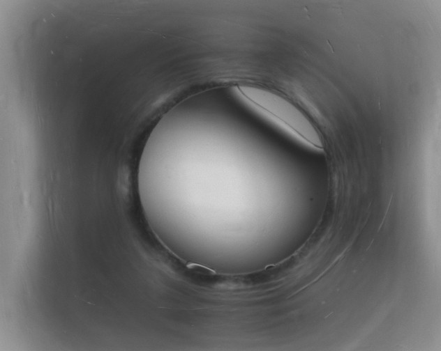 X0000112140211200908141201