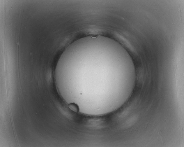 X0000112140213200908141201