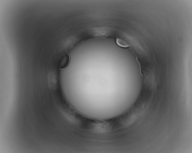 X0000112140215200908141201