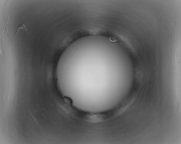 X0000112140221200908141201