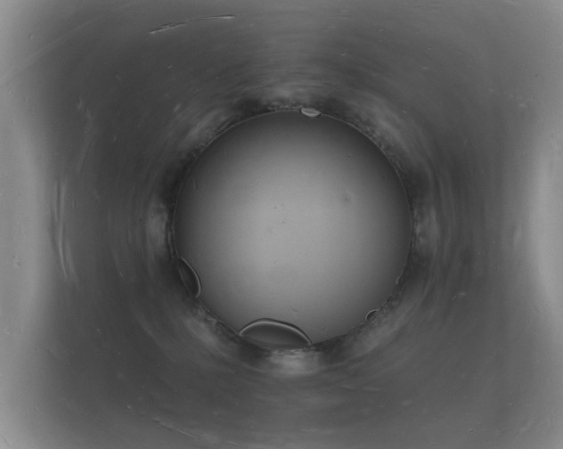 X0000112140231200908141200