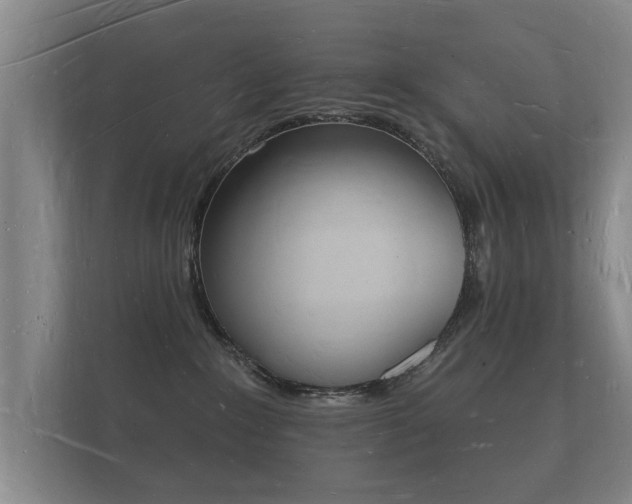 X0000112140235200908141200